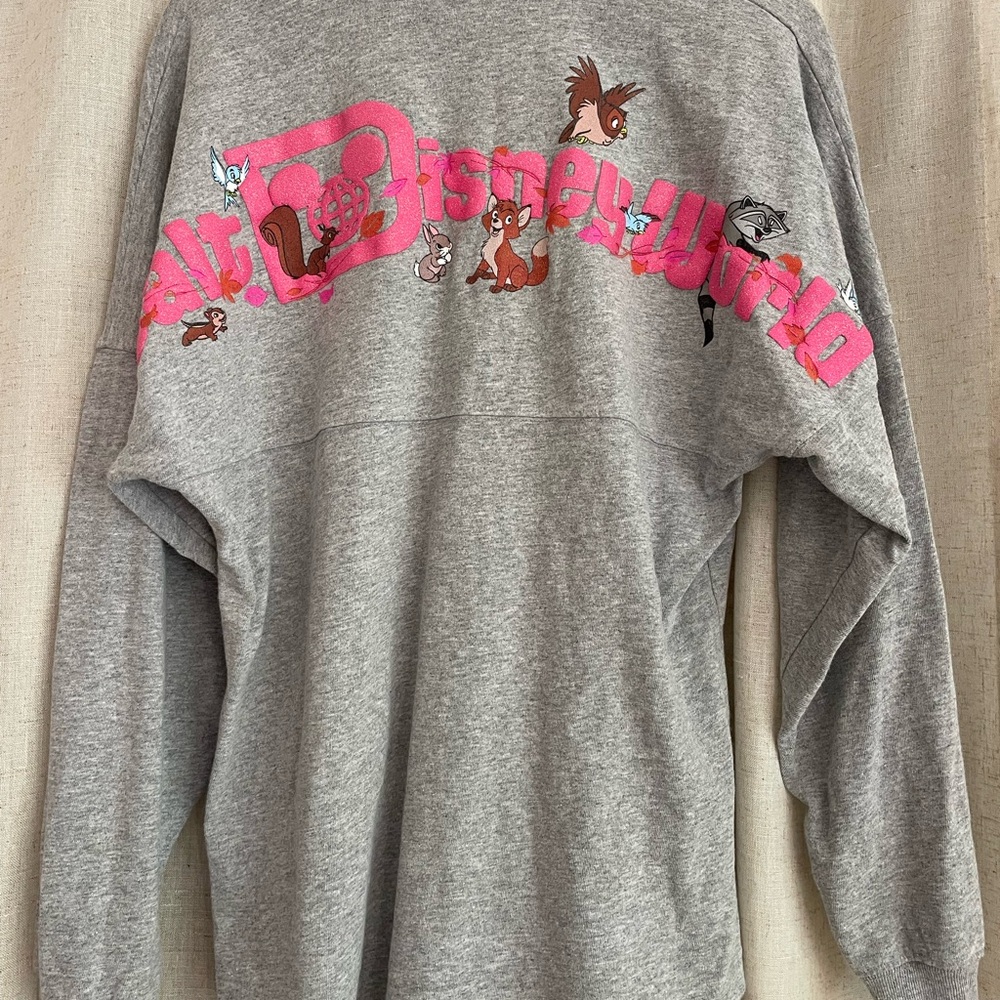 Disney Animals Spirit Jersey Size Small